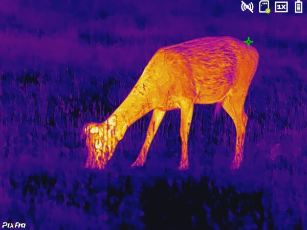 Monoculaire thermique Pixfra série Ranger Noir – Image 10