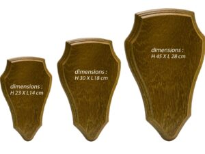 Ecusson pour trophée chevreuil ou cerf