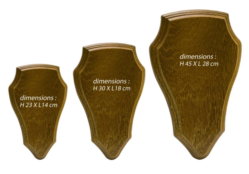 Ecusson pour trophée chevreuil ou cerf - Vue principale