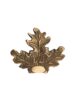 Feuille de Chêne porte trophées - Vue principale