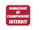 Panneau  »Ramassage de champignons interdit » 30 x 25 cm - Vue principale