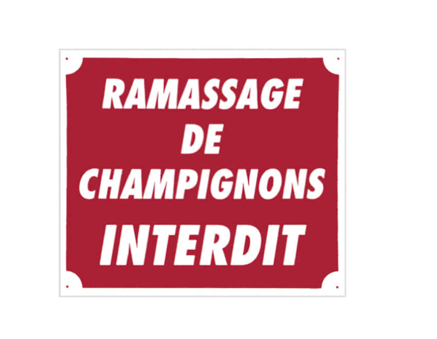 Panneau  »Ramassage de champignons interdit » 30 x 25 cm - Vue principale