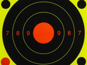 Cibles Shoot-N-C 20 cm - Birchwood Casey