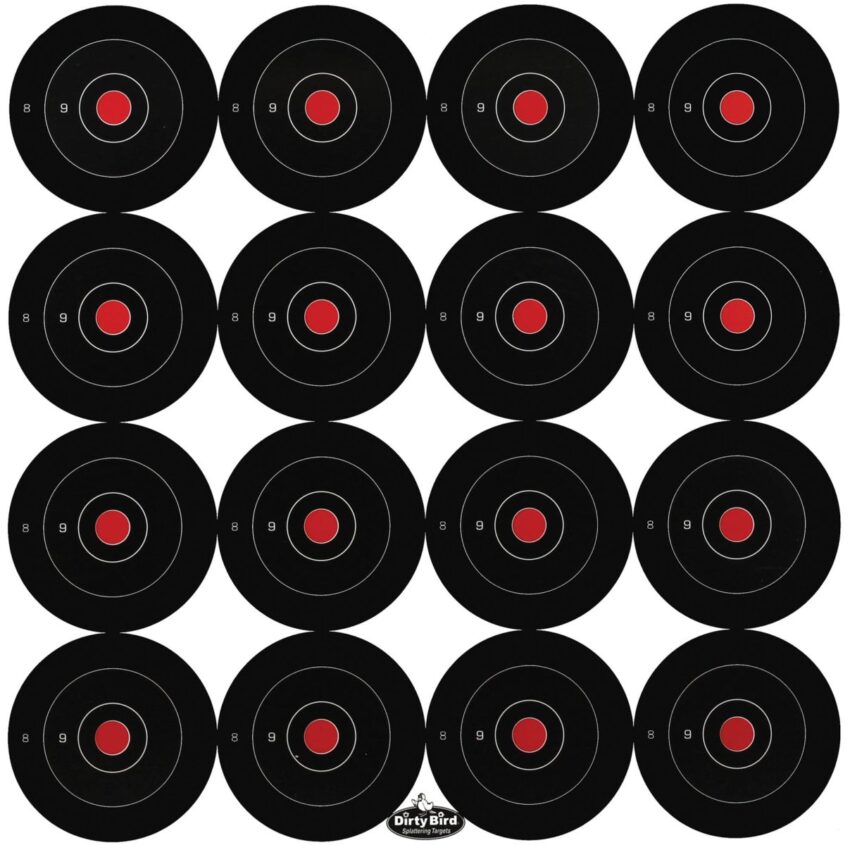 Lot de 172 cibles 3 » réactives Dirty Bird - Vue principale