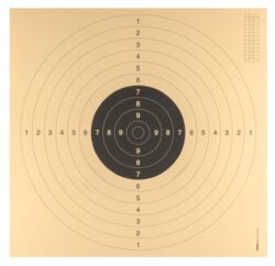 100 cartons-cibles C50 55 x 53 cm avec encoches