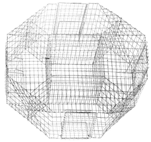 Cage à pies – Image 3