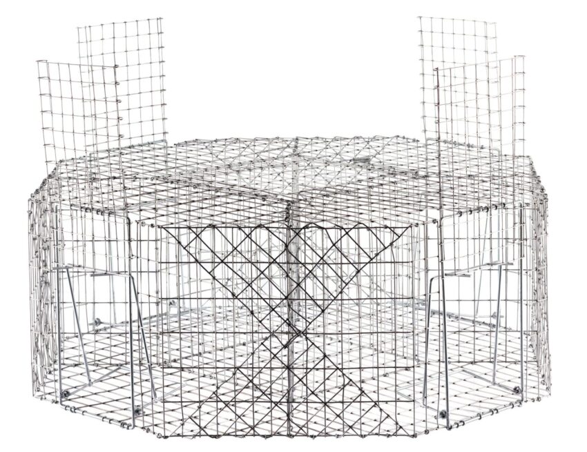 Cage à pies - Vue principale