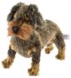 Peluche Teckel à poil dur debout - Vue 1