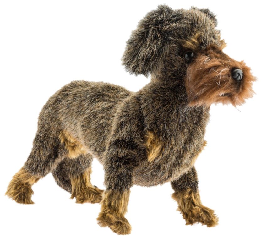 Peluche Teckel à poil dur debout - Vue principale
