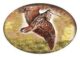 Stickers animaliers - Vue 1
