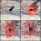 Grenade de peinture à grattoir - Vue 1