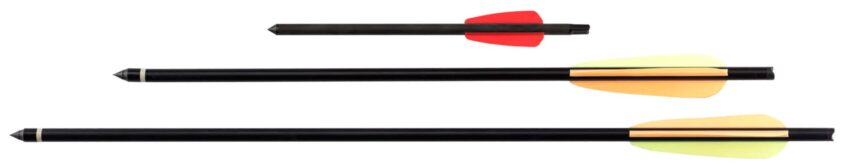 Traits d’arbalètes Ek Archery - Vue principale