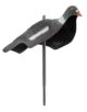 Appelant pigeon anglais - Vue 1