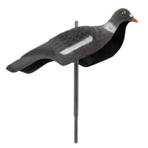 sans marque EA - Appelant pigeon anglais - appeaux, appelants, bagues & supports