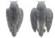Appelant Grand Duc ailes battantes - Vue 1
