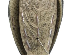 Appelant Grand Duc ailes battantes