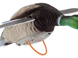 Appelant électronique canard ailes tournantes