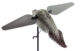 Appelant tourterelles ailes tournantes - Vue 2