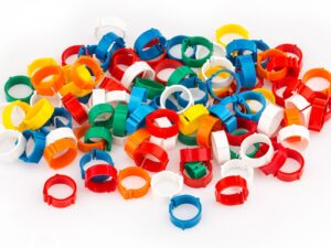 Bagues de repérage clips par 100