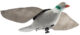 Appelant Pigeon Super flap - Vue principale