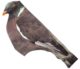 5 Chaussettes 3d pour appelant pigeon - Vue 1