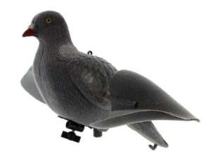 Appelant pigeon ailes tournantes