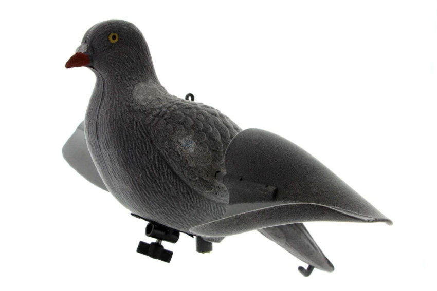 Appelant pigeon ailes tournantes - Vue principale