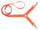 Laisse 1,30 m sangle nylon 2 chiens orange fluo – Country - Vue principale