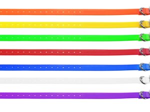 Collier pour chien 2,5 cm en polyuréthane - Country