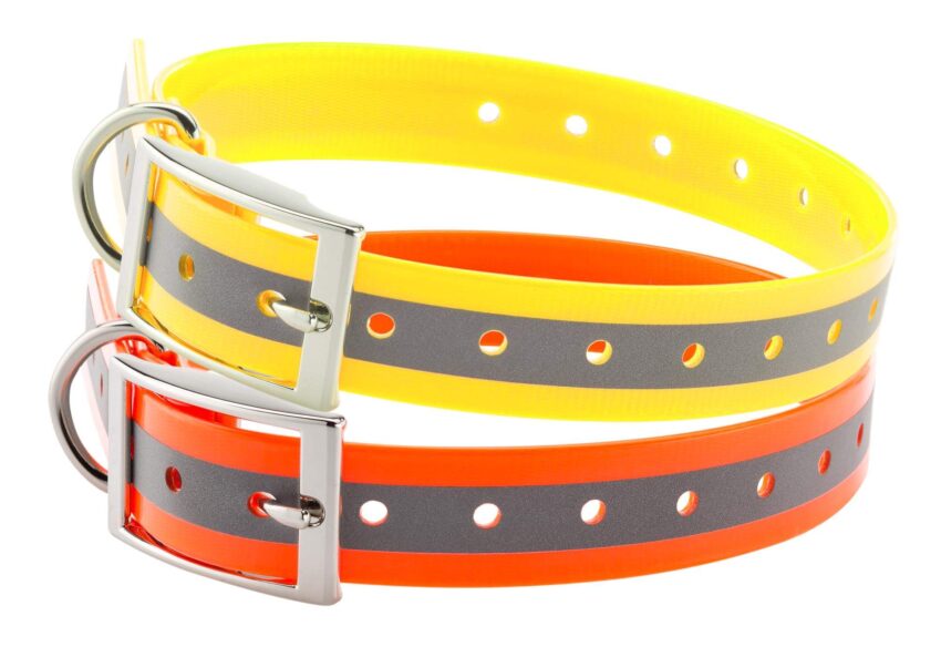 Collier pour chien – Country - Vue principale