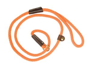 Laisses de dressage orange pour chien - Country