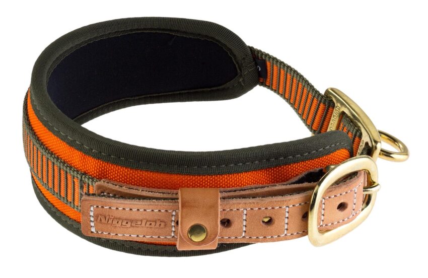 Collier chien de sang orange fluo – Niggeloh - Vue principale
