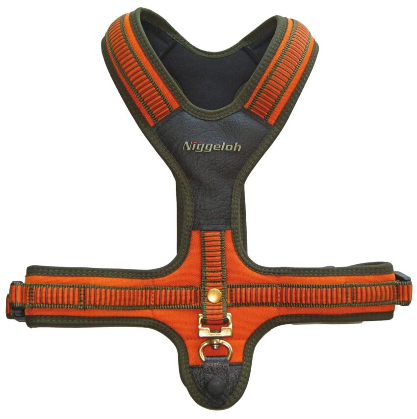 Harnais néoprène orange pour chien – Niggeloh - Vue principale