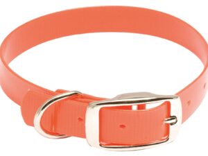 Collier pour chien Hiflex orange fluo - Country