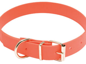 Collier pour chien Biothane orange fluo - Country