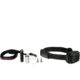 Collier anti-aboiement d-mute pour chien – Dog Trace - Vue 2