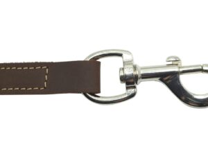Laisse cuir Naturel 1,20 m x 18 mm Marron