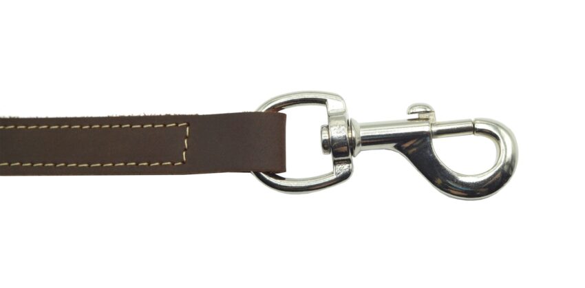 Laisse cuir Naturel 1,20 m x 18 mm Marron - Vue principale