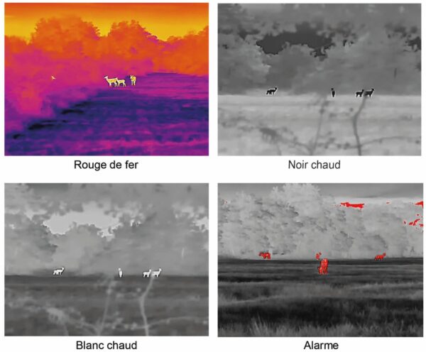 Monoculaire de vision thermique Pixfra série Mile M60 – Image 9