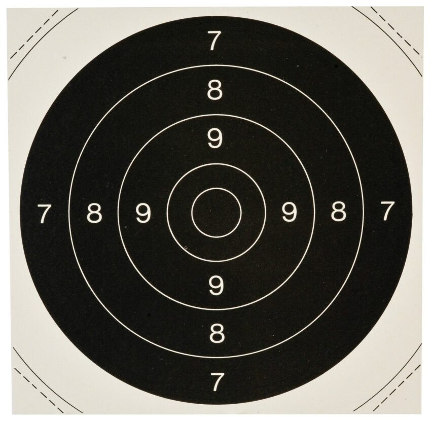 cibles 21 x 21 (visuelle du 53 x 53) les 100. - Vue principale