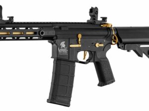 Réplique AEG LT-32 Hellion Noir/Gold pack complet 1j