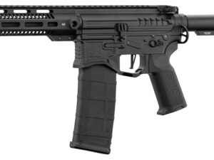 Réplique R15 mod 1 Zion Arms noire garde main long