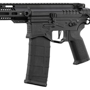 Réplique R15 mod 1 Zion Arms noire garde main long - airsoft - répliques longues