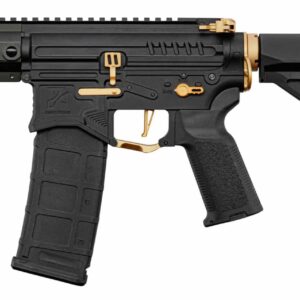 Réplique R15 mod 1 Zion Arms noire et or garde main court - airsoft - répliques longues