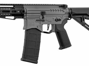 Réplique R15 mod 1 Zion Arms noir/gris garde main court