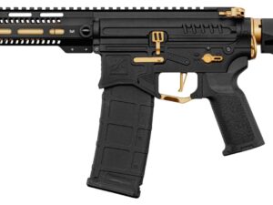Réplique R15 mod 1 Zion Arms noire et or garde main long