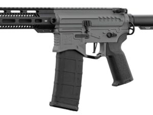 Réplique R15 mod 1 Zion Arms noir/gris garde main long