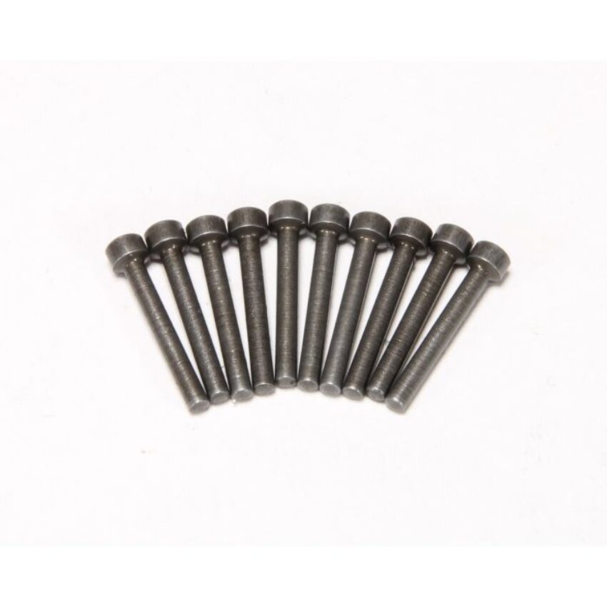 Decapping Pins 10 Pack Lyman - Vue principale