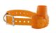 Collier de repérage sonore NUM’AXES Canibeep Radio Pro - Vue principale