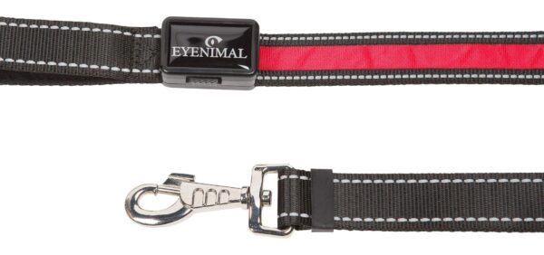 Laisses lumineuses Eyenimal 1,50m – Image 3
